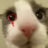 BludderChugger