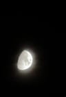 That_Moon