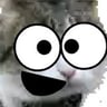 ImSillyCat