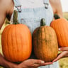 My_Pumpkins