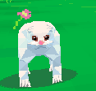 cat_beam
