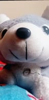 Huskygames