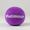 WhatsWebsim
