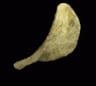 Chip_chip