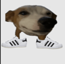 MILOSLIDES