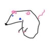anymousxe