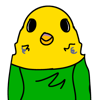 budgielord