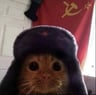 Russian_kitty