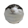 Meowmeow
