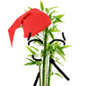 freshestbamboo000000