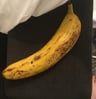 moldybananastudios