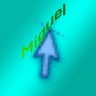miguelmedeirosdasilva9