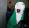 Dog_Rock