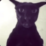 EVIL_LARRY