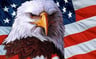 AmericanPatriot