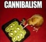 TheKiwibirdEatsKiwifruit34
