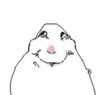 hamptr